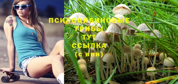 хмурый Кущёвская