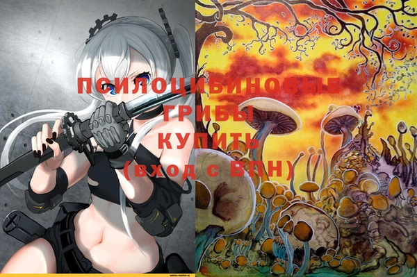хмурый Кущёвская