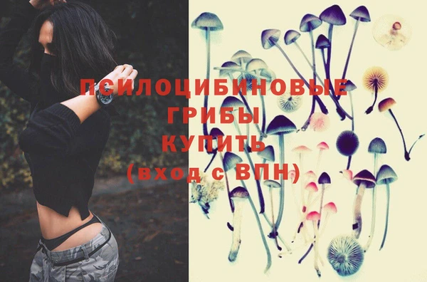 хмурый Кущёвская
