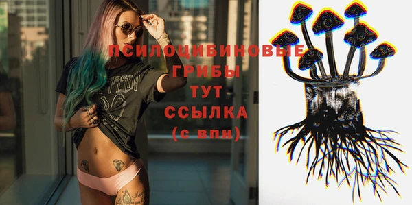 хмурый Кущёвская