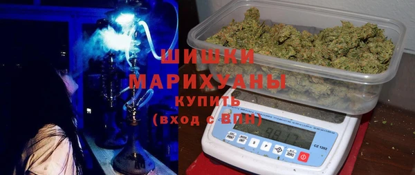 ГАЛЛЮЦИНОГЕННЫЕ ГРИБЫ Баксан