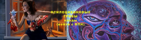 хмурый Кущёвская